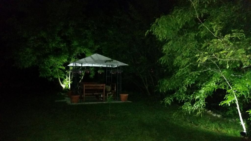 Vila Dincic Doo Veliko Gradište Extérieur photo