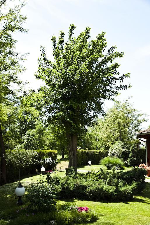 Vila Dincic Doo Veliko Gradište Extérieur photo